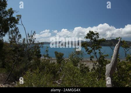 Hamilton Island, ein Paradies auf der Whitsunday Island Stockfoto