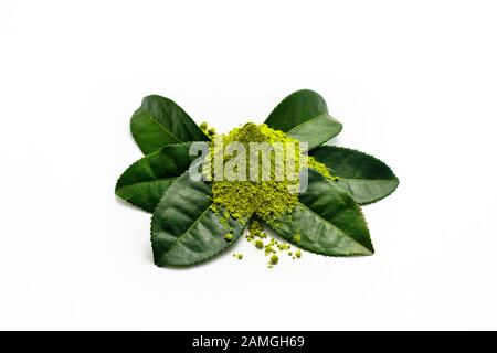 Haufen von extrahiertem grünem Teepulver auf frischen grünen Teeblättern in weißem Hintergrund. Stockfoto