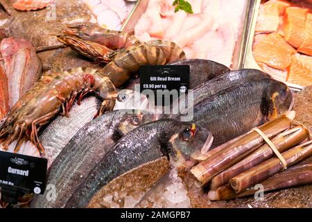 Vergoldeten Kopf Brassen Fisch zum Verkauf in gekühlten Anzeige auf Eis Zähler E. Ashton Fischhändler stall in Cardiff in Wales UK KATHY DEWITT Stockfoto