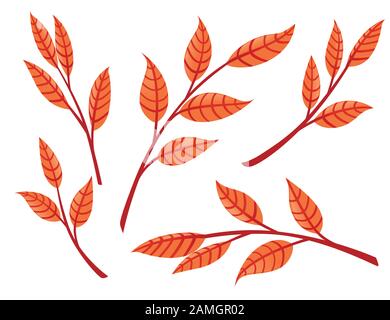 Satz orangefarbene Herbstblätter auf Ästen flache Vektorgrafiken isoliert auf weißem Hintergrund. Stock Vektor