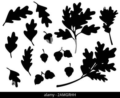 Schwarze Silhouette verschiedener Herbstblätter aus Eiche mit ebener Vektorgrafiken aus Akorn, isoliert auf weißem Hintergrund. Stock Vektor