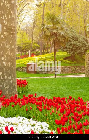 Bunte Blumenbeete beim jährlichen Tulpenfest im April in Istanbul im Gulhane Park, Türkei Stockfoto