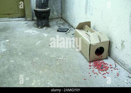 Ein Bild von einem Papier Ratte Trap mit einigen Pellets mit Gift außerhalb der Box. Gefährlich zu berühren oder zu essen. Stockfoto