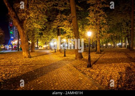 Stadtnächtspark im Herbst mit Pfaden, die mit umgestürzten gelben Blättern und Bäumen übersät sind. Querformat. Stockfoto