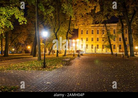 Stadtnächtspark im Herbst mit Pfaden, die mit umgestürzten gelben Blättern und Bäumen übersät sind. Querformat. Stockfoto