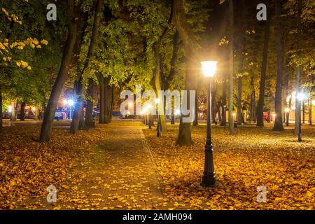 Stadtnächtspark im Herbst mit Pfaden, die mit umgestürzten gelben Blättern und Bäumen übersät sind. Querformat. Stockfoto