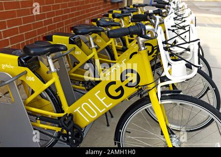 Verfügbare Tollego Bike-Shares, die im Rack für den Verleih in der Innenstadt von Toledo, Ohio, USA, geparkt wurden. Stockfoto