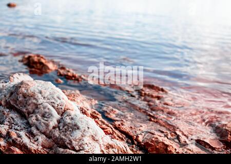 Torrevieja Pink Lake, im Naturpark de Las Lagunas de La Mata e Torrevieja, Provinz Alicante, Spanien. Salzforschung und Ergebnisse aus Anwesenheit von Stockfoto