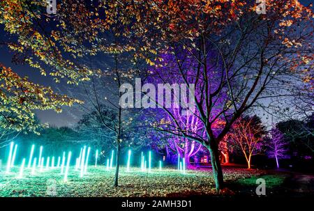 Der Enchanted Forest Syon Park London UK Stockfoto