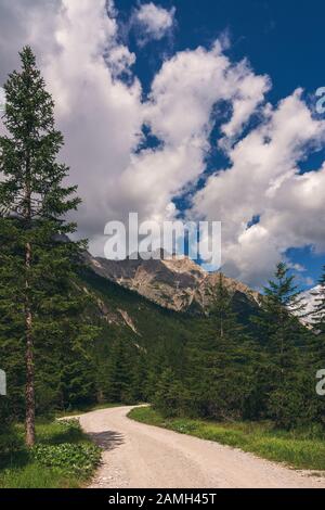 Wald Weg in den Dolomiten, Val Fischleintal Stockfoto