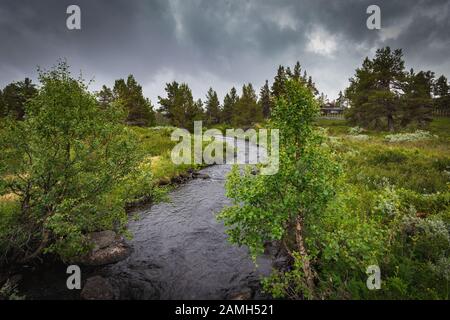 Sturm und Regen entlang Peer Gynt Vegen in Westnorwegen bei Gala Stockfoto