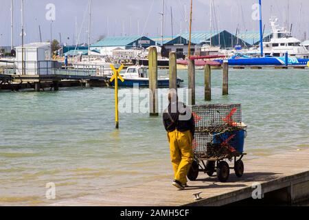 Juni 2017 SCHIEBT EIN Besatzungsmitglied einen Buggy entlang eines schwimmenden Pontons am Hafen von Warsash in Hampshire, während er beim Entladen eines Trawlers hilft Stockfoto