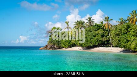 Panoramablick auf die Landschaft mit weißen Sandstrand und Palmen auf tropischen Karibik Insel der Dominikanischen Republik. Stockfoto