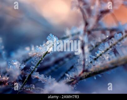 Natürlicher Hintergrund mit glänzenden Kristallen kalter weißer Schneeflocken, die wie Perlen auf dem Gras im morgendlichen Herbstpark aufgereiht sind Stockfoto