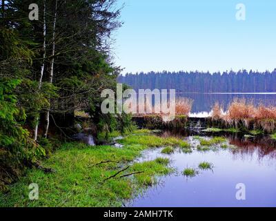 Der Teich in der nationalen Reservation Kladska bei Horni Slavkov. Es gibt Moos und Sümpfe. Durch die Sümpfe führt ein Naturlehrpfad. Das ist es Stockfoto