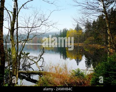 Der Teich in der nationalen Reservation Kladska bei Horni Slavkov. Es gibt Moos und Sümpfe. Durch die Sümpfe führt ein Naturlehrpfad. Das ist es Stockfoto