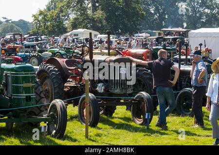 Oldtimer Traktoren auf 2019 Shrewsbury Steam Rally, Shropshire, England, Großbritannien Stockfoto