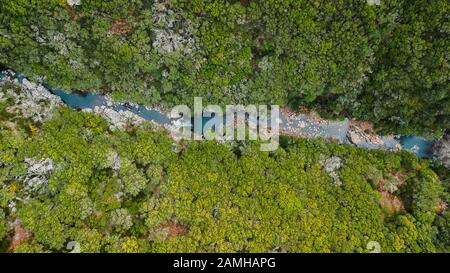 Luftdrone mit Blick auf den Wasserfluss, der durch die hohen Bäume des Waldes in 'Paul da Serra', Insel Madeira, Portugal verläuft Stockfoto