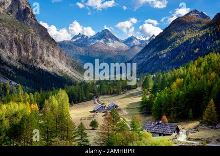 Sommerberge und Bäume im Nevache-Tal, Hautes Alpen, Provence, Frankreich Stockfoto