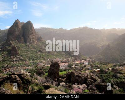 Wandern vom Cruz Lanos de la Pez nach La Culata, Tejeda, Gran Canaria, Kanaren, Spanien Stockfoto