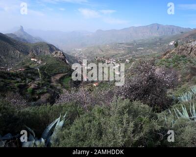 Wandern vom Cruz Lanos de la Pez nach La Culata, Tejeda, Gran Canaria, Kanaren, Spanien Stockfoto