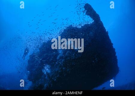 Taucher, der den Bogen des historischen Schiffswracks SS Yongala, Townsville, Great Barrier Reef, Queensland, Australien, Coral Sea, South Pacific Ocean (M Stockfoto