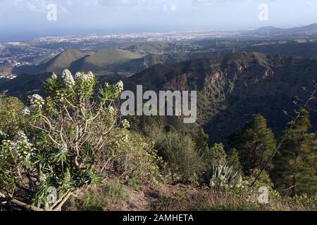 Blick vom Pico de Bandama in der Caldera de Bandama, Las Palmas de Gran Canaria, Kanarische Inseln, Spanien Stockfoto