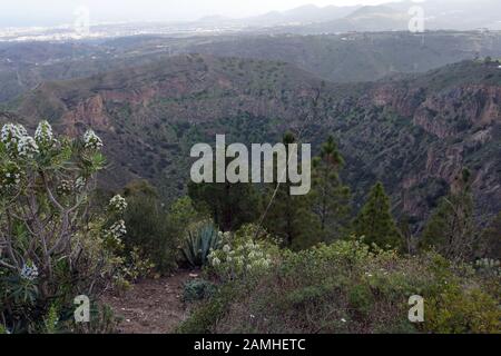 Blick vom Pico de Bandama in der Caldera de Bandama, Las Palmas de Gran Canaria, Kanarische Inseln, Spanien Stockfoto