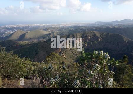 Blick vom Pico de Bandama in der Caldera de Bandama, Las Palmas de Gran Canaria, Kanarische Inseln, Spanien Stockfoto