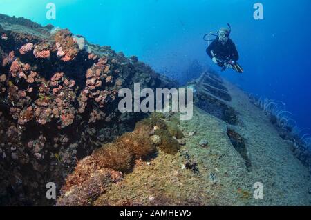 Taucher, der das historische Schiffswrack der SS Yongala, Townsville, Great Barrier Reef, Queensland, Australien, Korallenmeer, Südpazifischer Ozean (MR) erkundet Stockfoto