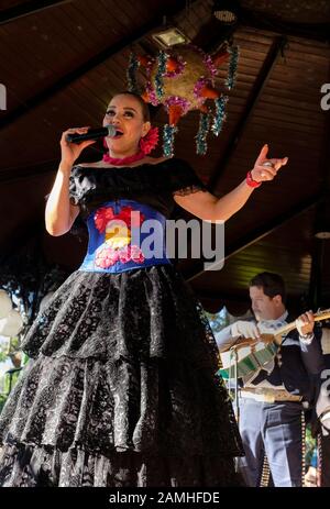 Mexikanischer Folksänger in Tlakquepaque, Mexiko Stockfoto