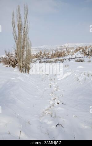 Fußabdrücke auf Schnee in einem Tal im Winter Stockfoto