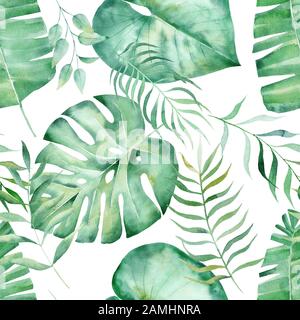 Monstera Farn und Eukalyptusblätter handgezeichnete nahtlose Musterabbildung. Trendige tropische Pflanzenkulisse.Jungle Wald, botanisch exotisch t Stockfoto