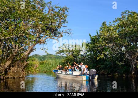 Vogeltour durch den Nationalpark La Tovara in der Nähe von San Blas, Riviera Nayarit, Mexiko. Stockfoto