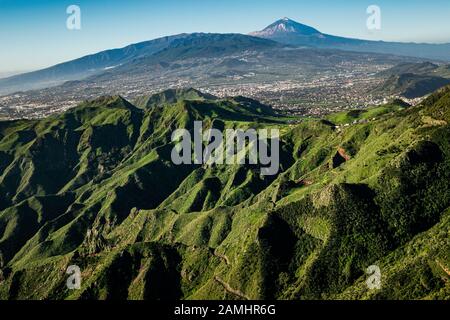 Grünen Hügeln von Anaga ländlichen Park mit dem emblematischen Berg Teide im Hintergrund vom Mirador de la Cruz del Carmen Aussichtspunkt. Teneriffa, Kanarische gesehen Stockfoto