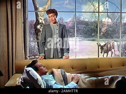 All THAT HEAVEN ERMÖGLICHT den Film Universal Pictures aus dem Jahr 1955 mit Jane Wyman und Rock Hudson Stockfoto