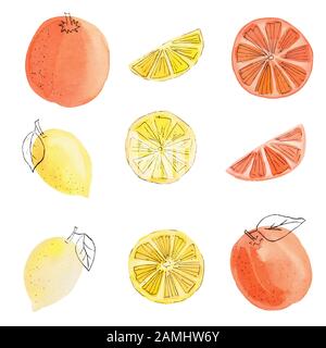 Handgezeichnete bunte Zitrusfrüchte, Aquarellbilder. Zitronen-, Orange- und Grapefruitscheiben isoliert auf weißer Hintergrundsammlung. Sommer Ju-Sommer Stockfoto