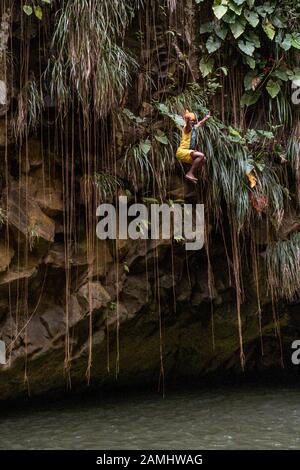 Ein lokaler Klippentaucher, der von der Klippe an den Annandale Falls, Grand Etang Forest Reserve, Grenada, West Indies, Karibik, sprang. Stockfoto