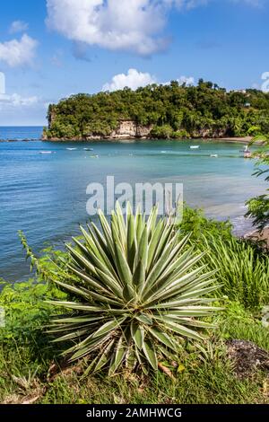 Bucht von L'Anse la Raye, einem verschlafenen Fischerdorf an der Südostküste von St.Lucia, Westindien, Karibik Stockfoto