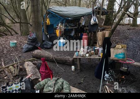 Harefield, Großbritannien. Januar 2020. Ein Schutzlager, das von Stop HS2-Aktivisten in der Nähe der Harvil Road bewohnt wird. Ein Teil des nahe gelegenen Schutzlagers Harvil Road wurde letzte Woche von Rettungskräften vertrieben. 108 alte Waldgebiete sollen durch die Schnellbahnverbindung zerstört werden und weitere Zerstörung von Bäumen für HS2 im Gebiet der Harvil Road wird als unmittelbar vermutet. Credit: Mark Kerrison/Alamy Live News Stockfoto