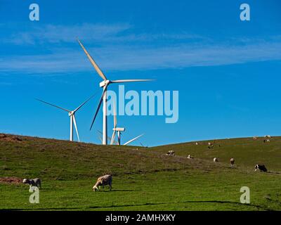 Shiloh Wind Farm, Rio Vista, Kalifornien Stockfoto