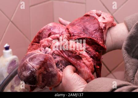 Zusammensetzung von Schweinefleisch, Leber, Schwein, Lunge, Schweinefleisch, Herz, Schweinefleisch auf dem Markt. Stockfoto