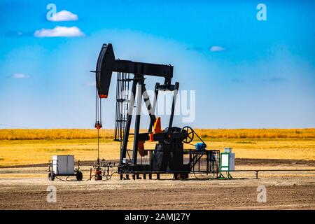 Ein moderner schwarzer Kürbisse über einem Ölbrunnen ist in einem goldenen Feld unter einem leuchtend blauen Himmel zu sehen. Öl-, Petroleum- und Benzinindustrie in Alberta, Kanada