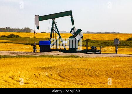 In einem goldenen Getreidefeld ist ein alternder Kürbisse zu sehen. Rohöl und endlicher Erdressourcenbergbau. Produktion von fossilen Brennstoffen in Alberta, Kanada