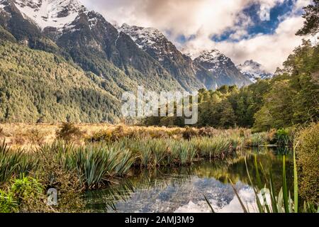 Schneebedeckte Berggipfel spiegelten sich in einem kleinen hochlandtarn wider, der von Flachs und einheimischem Busch in Fiordland umgeben ist Stockfoto