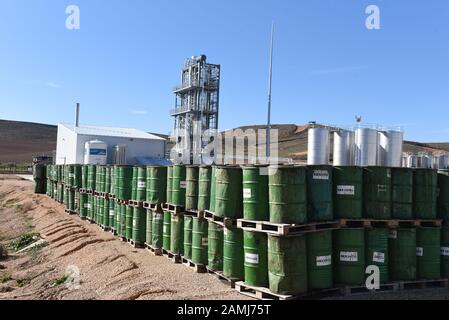 Fässer mit Harz im Naturales Resinas Manufacturing Plant in Almazán. Die Gewinnung von Harz aus Kiefern hat in den letzten Jahren in ländlichen Gebieten Spaniens aufgrund der Wirtschaftskrise und der höheren Nachfrage und geringeren Produktion in der Europäischen Union und China zugenommen. Stockfoto