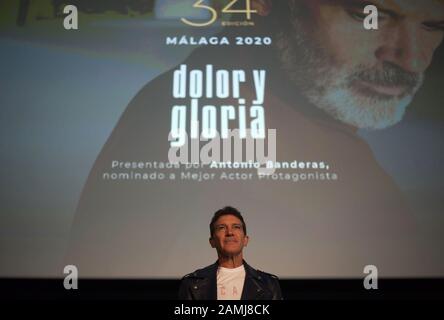 Der spanische Schauspieler und Regisseur Antonio Banderas, der für den spanischen Goya Award und den Academy Award des besten Schauspielers nominiert wurde, nimmt an einer Werbeveranstaltung Teil, bei der die Vorführung des Films 'Dolor y Gloria' (Pain and Glory) unter der Regie des spanischen Regisseurs Pedro Almodovar im Albeniz Cinema präsentiert wird. Im Rahmen der Verleihung der Goya Awards der spanischen Filmakademie. Die Stadt Málaga begrüßt die Verleihung der Goya Awards (die am 25. Januar gefeiert wird) mit fotografischen Ausstellungen und früheren Vorführungen von Filmen, die nominiert wurden, um den Goya Award des besten Films zu erhalten. Stockfoto