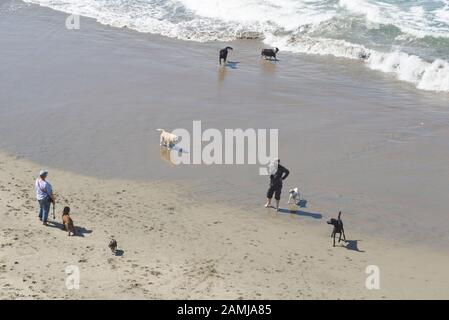 Die Länder Enden an Strand und Hundegängern in San Francisco in der Golden Gate National Recreation Area. Es handelt sich um eine felsige und windabgewehte Küstenlinie an der Einmündung von Stockfoto