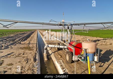 Selbstfahrendes lineares Bewässerungssystem, das Karotten- und Kartoffelfelder reift. Stockfoto