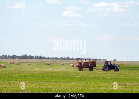 Einen landwirtschaftlichen Traktor Lader lasten Heuballen in einen Traktor Anhänger auf dem Feld Stockfoto